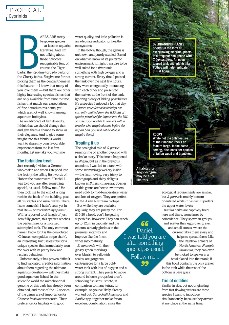 Practical Fishkeeping Preview Pages