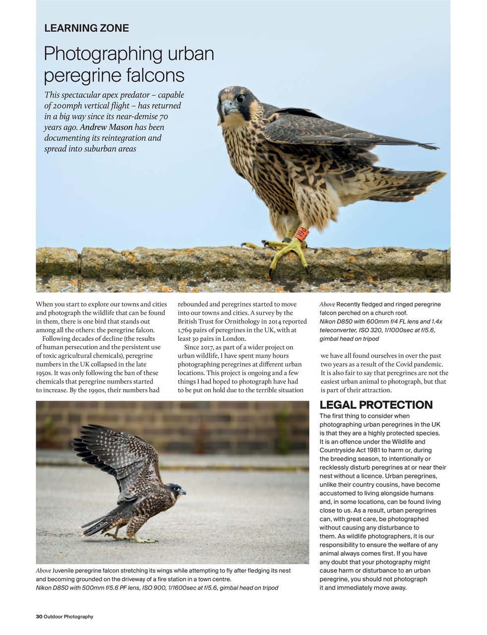 Outdoor Photography Preview Pages