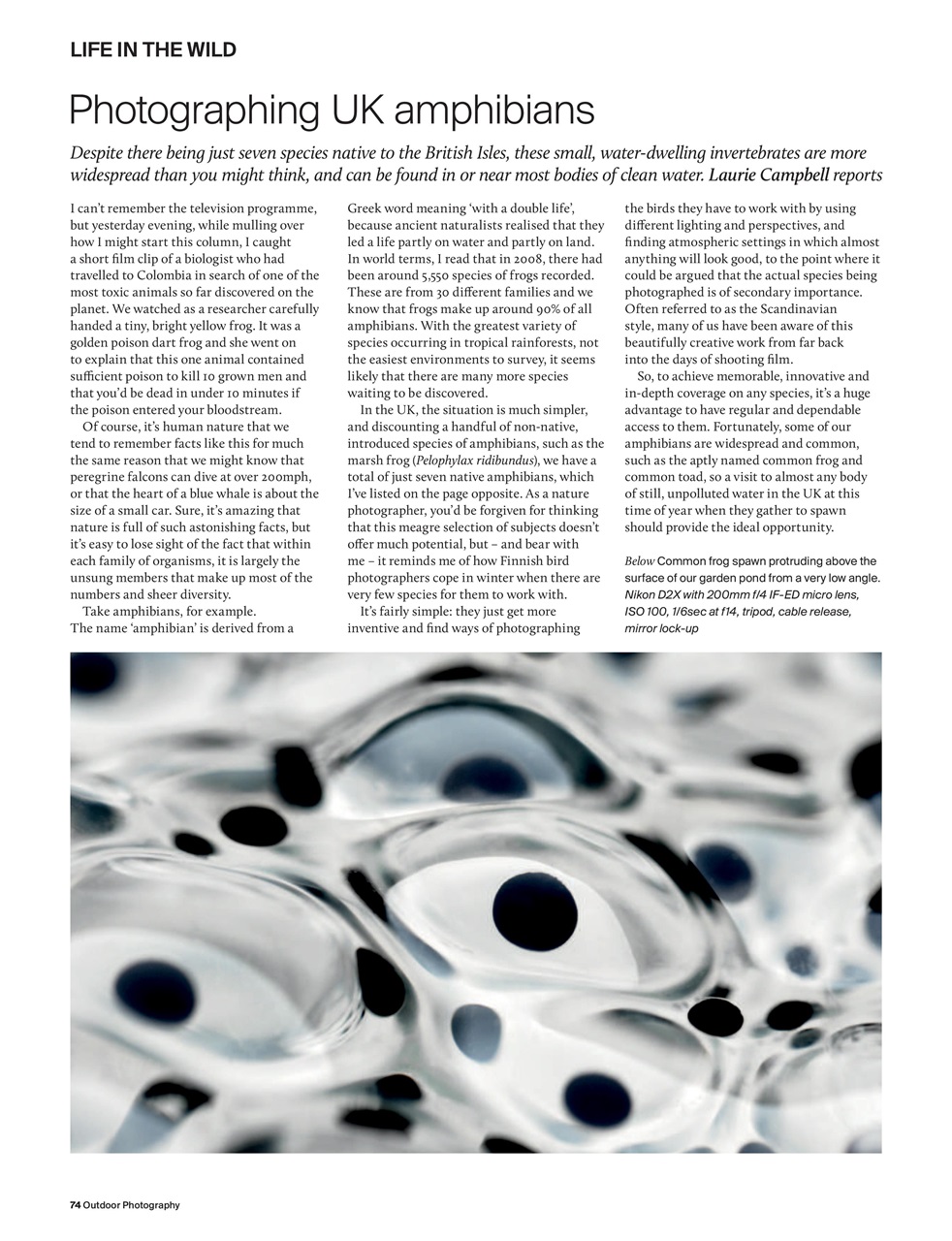 Outdoor Photography Preview Pages