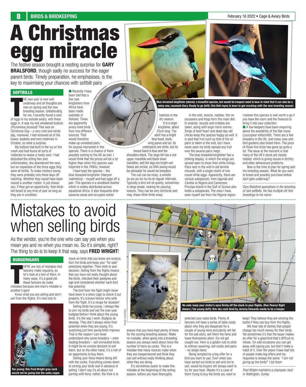 Cage & Aviary Birds Preview Pages