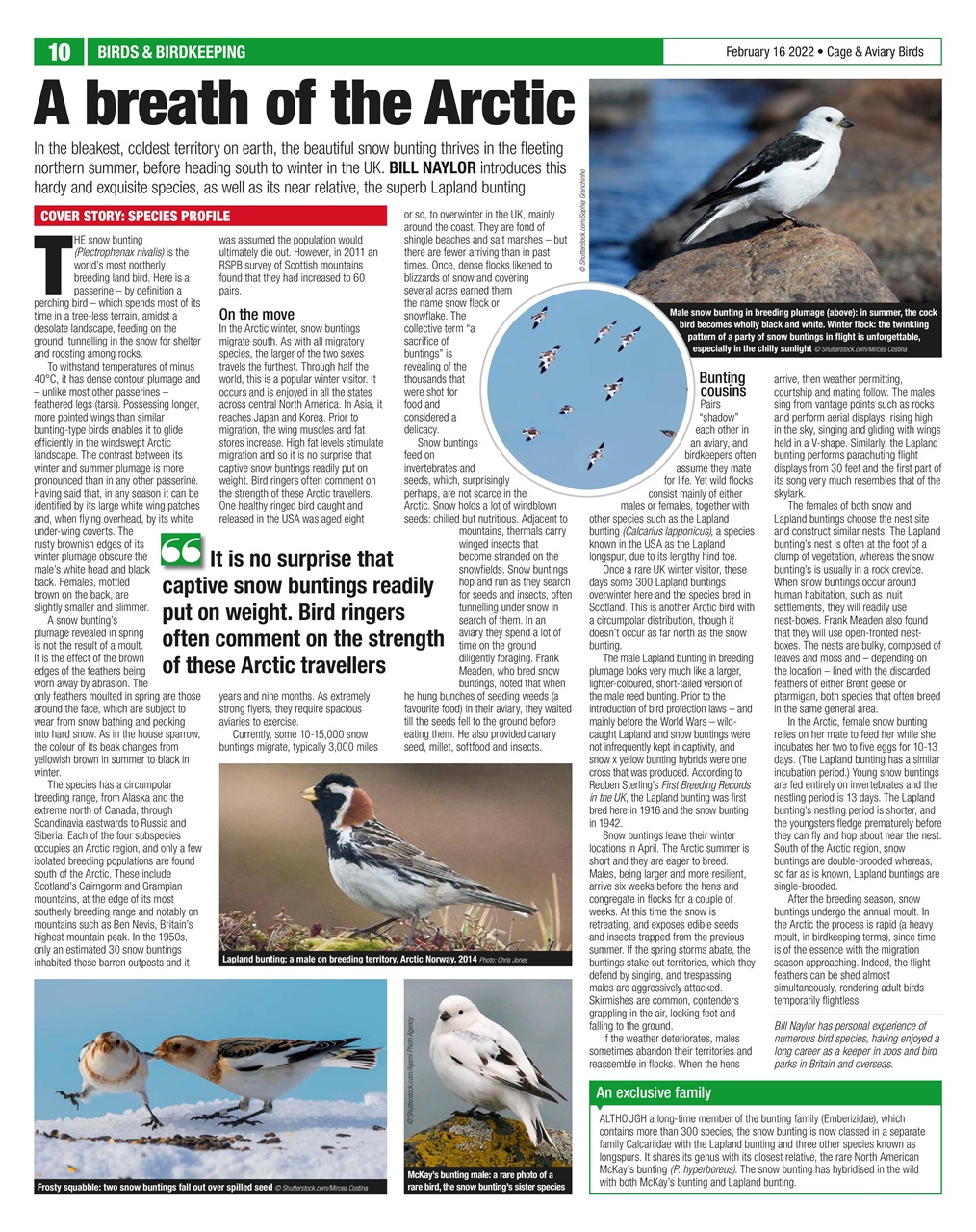 Cage & Aviary Birds Preview Pages