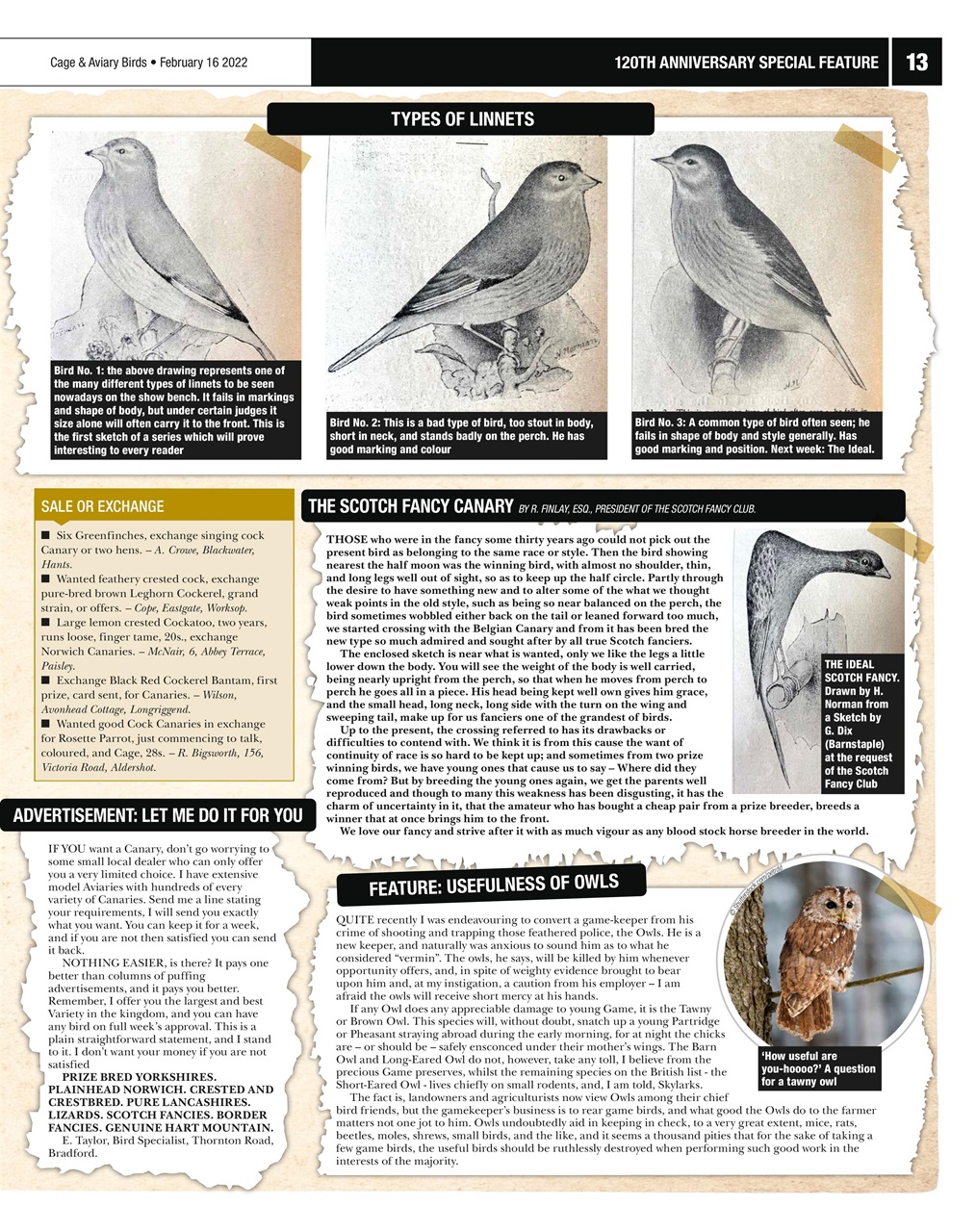 Cage & Aviary Birds Preview Pages