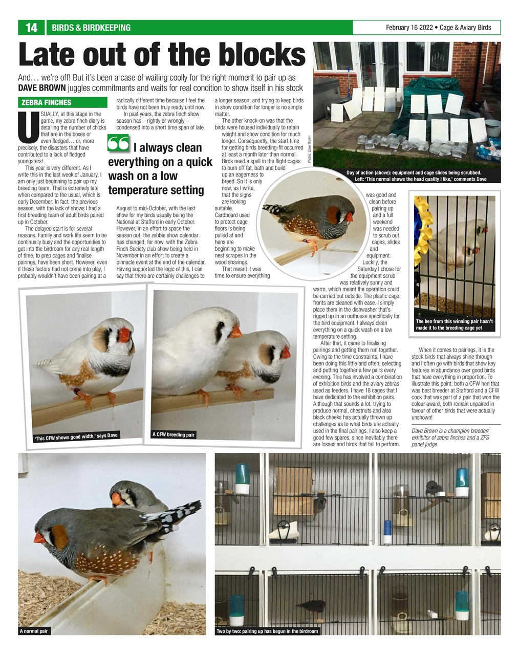 Cage & Aviary Birds Preview Pages