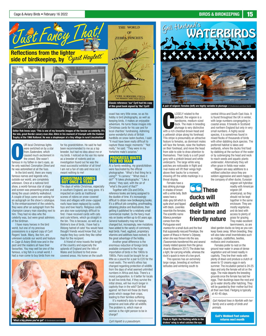 Cage & Aviary Birds Preview Pages