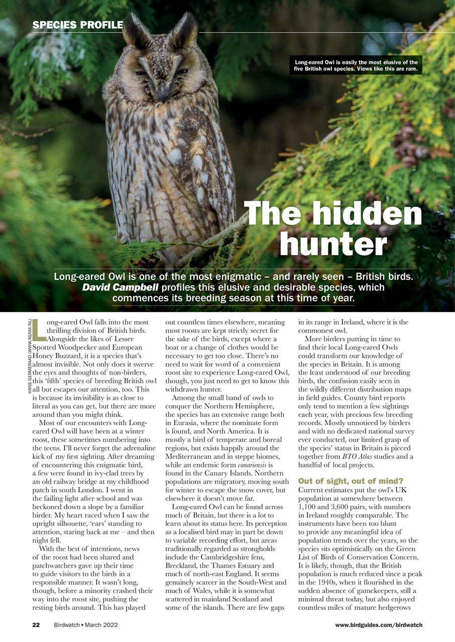 Birdwatch Magazine Preview Pages