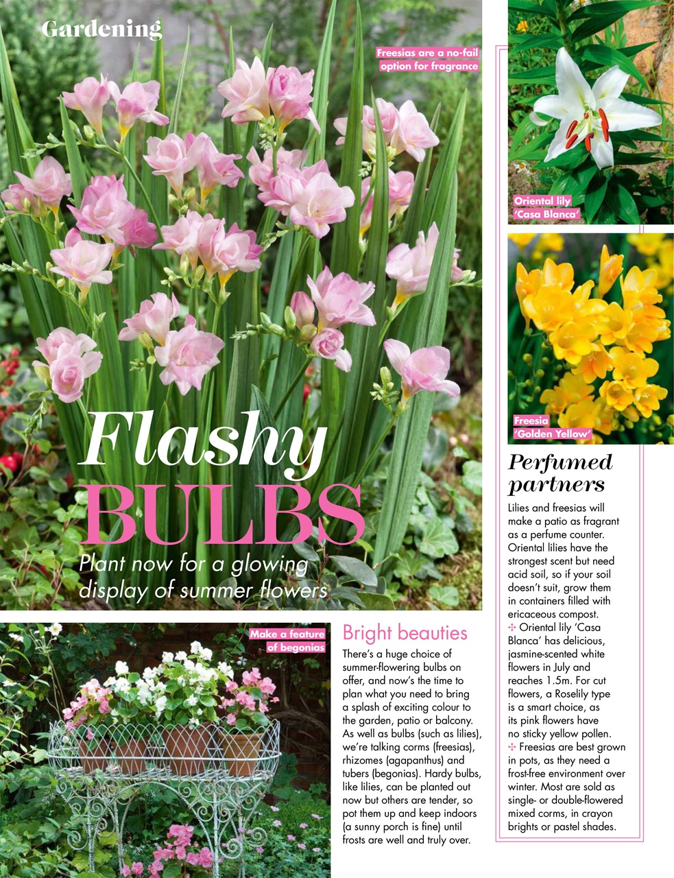 Woman's Weekly Preview Pages