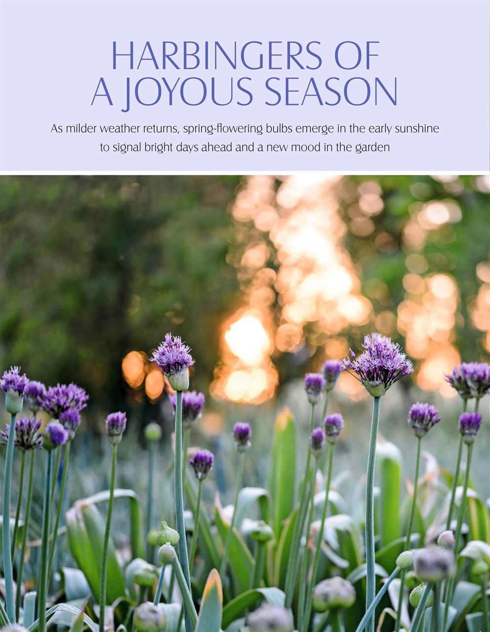 LandScape Preview Pages