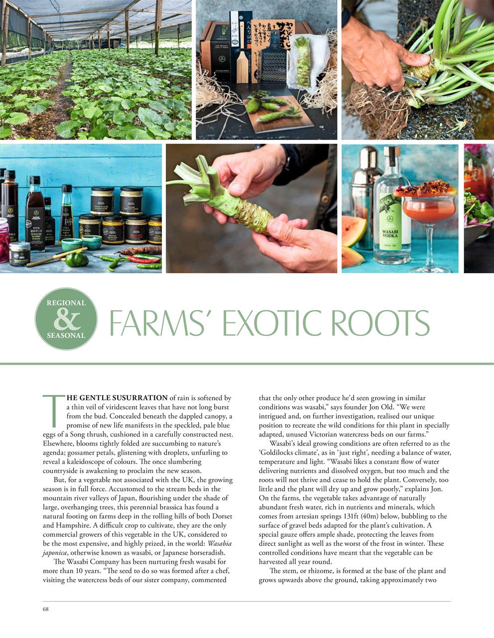 LandScape Preview Pages