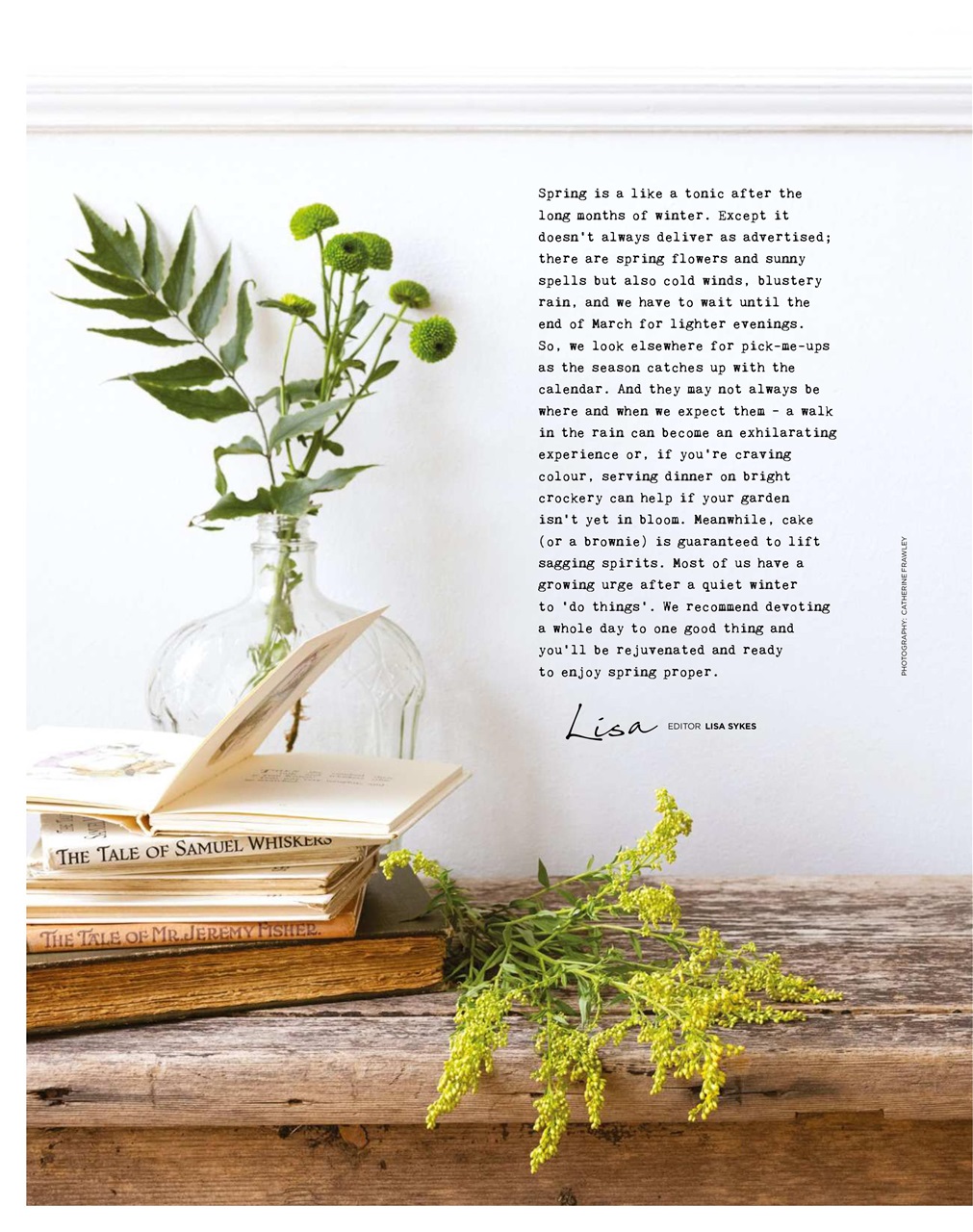 The Simple Things Preview Pages