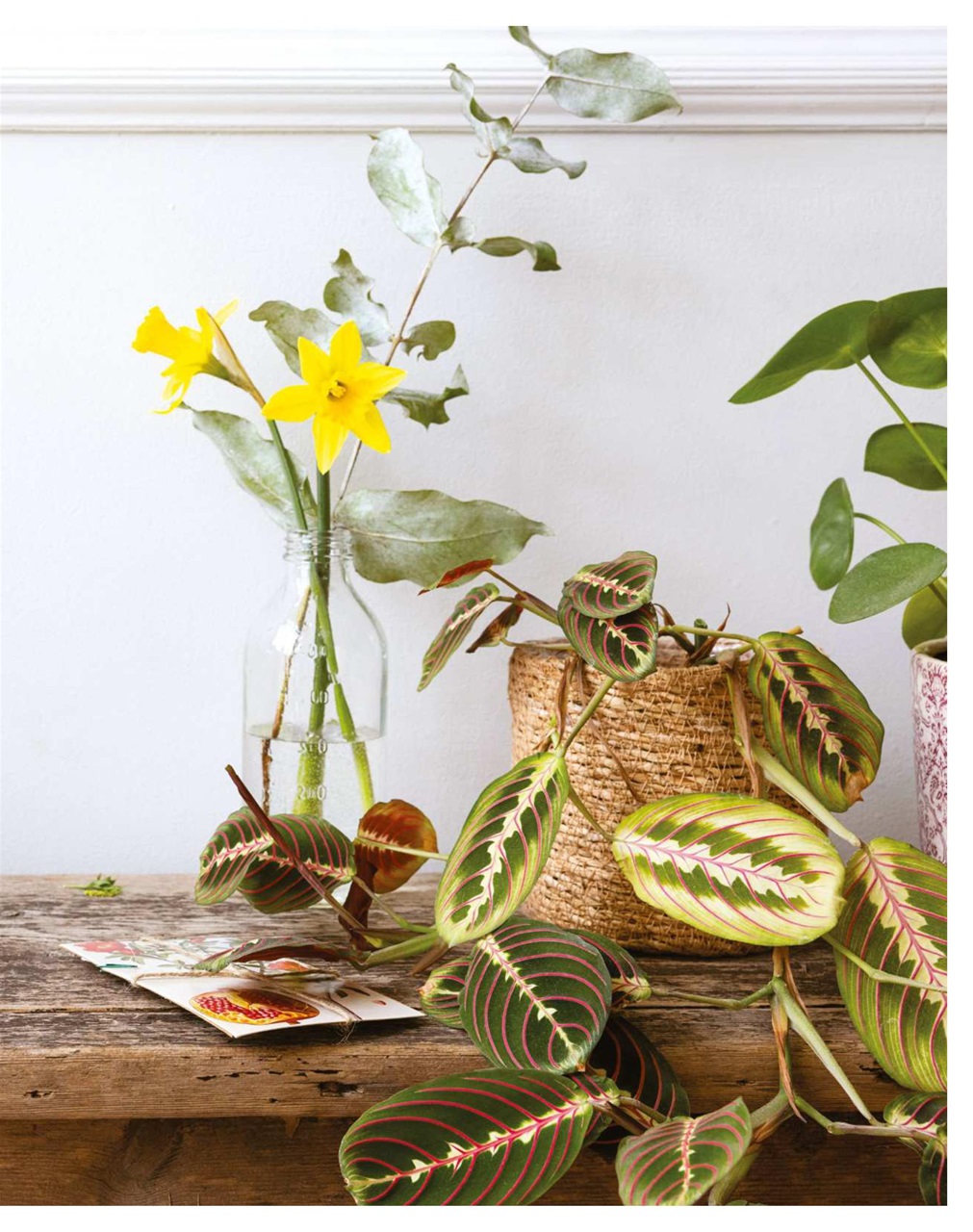 The Simple Things Preview Pages