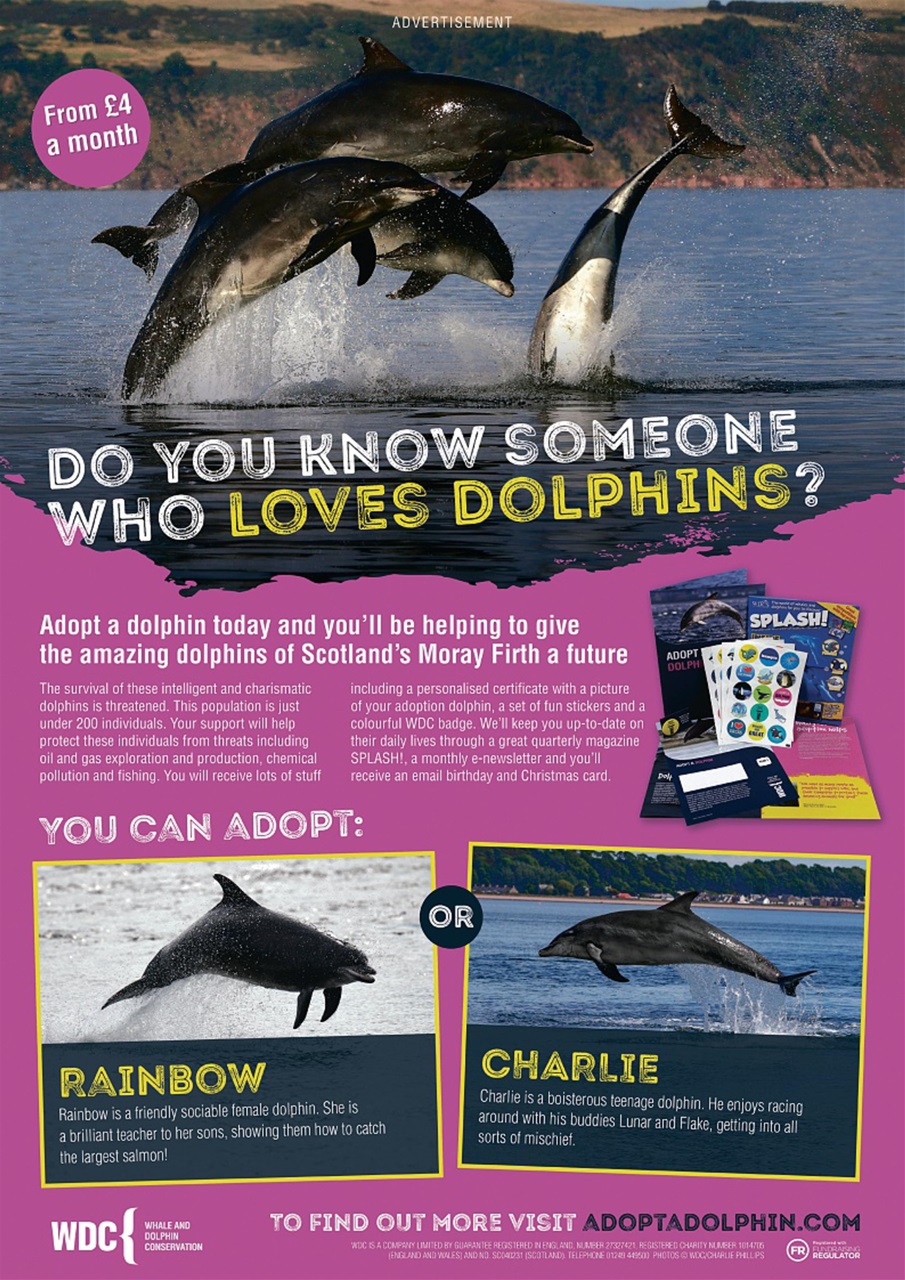 Animal Planet Kids Preview Pages