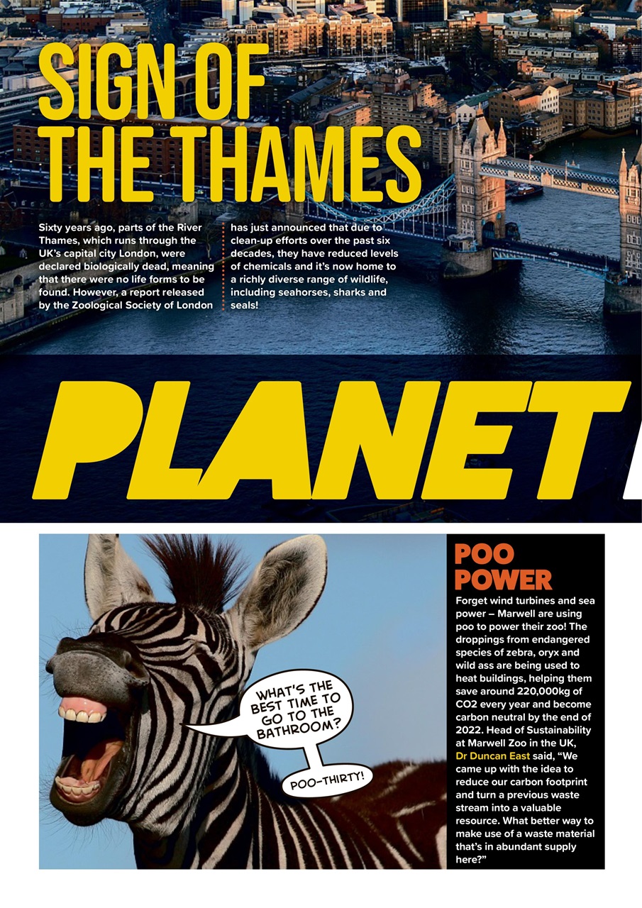 Animal Planet Kids Preview Pages