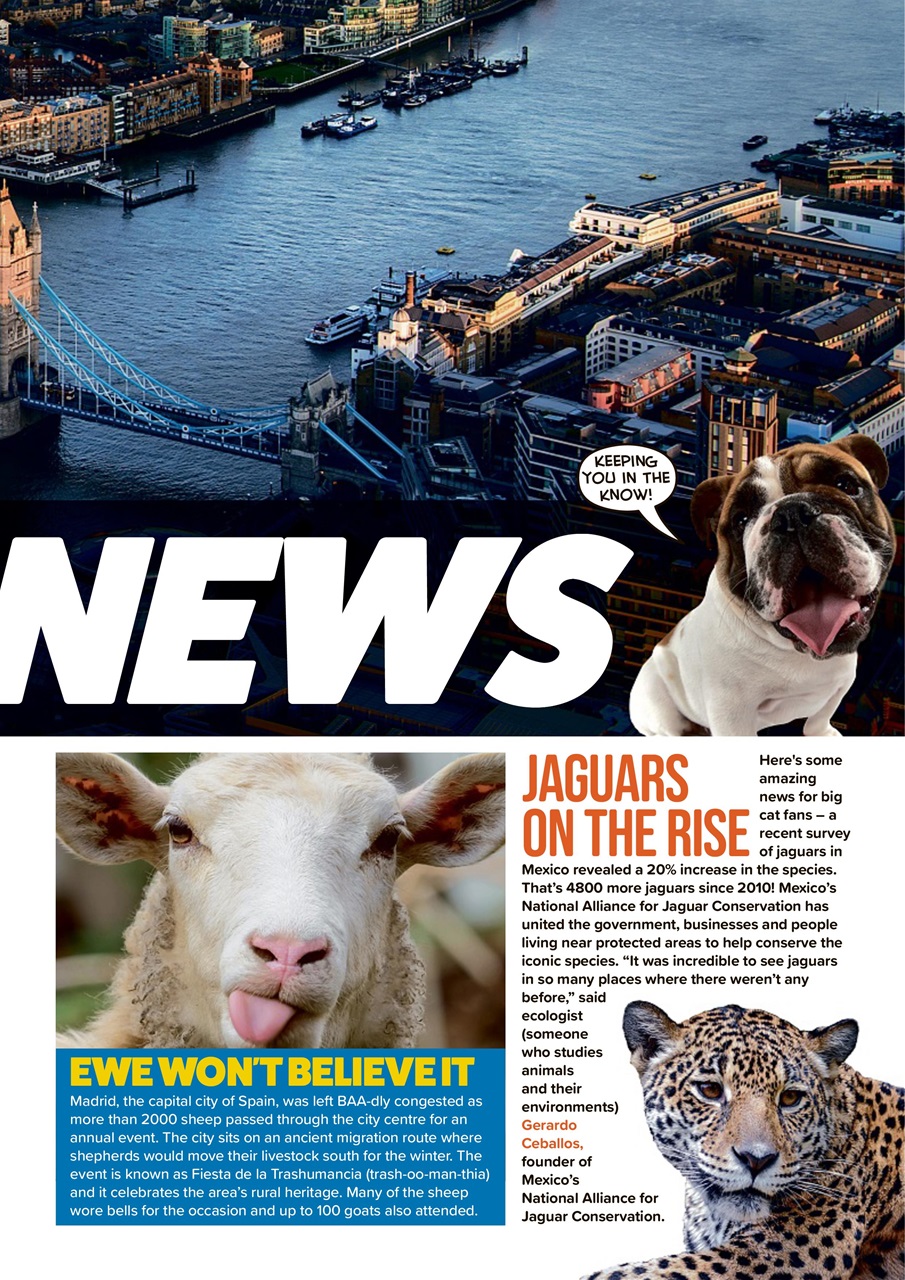 Animal Planet Kids Preview Pages