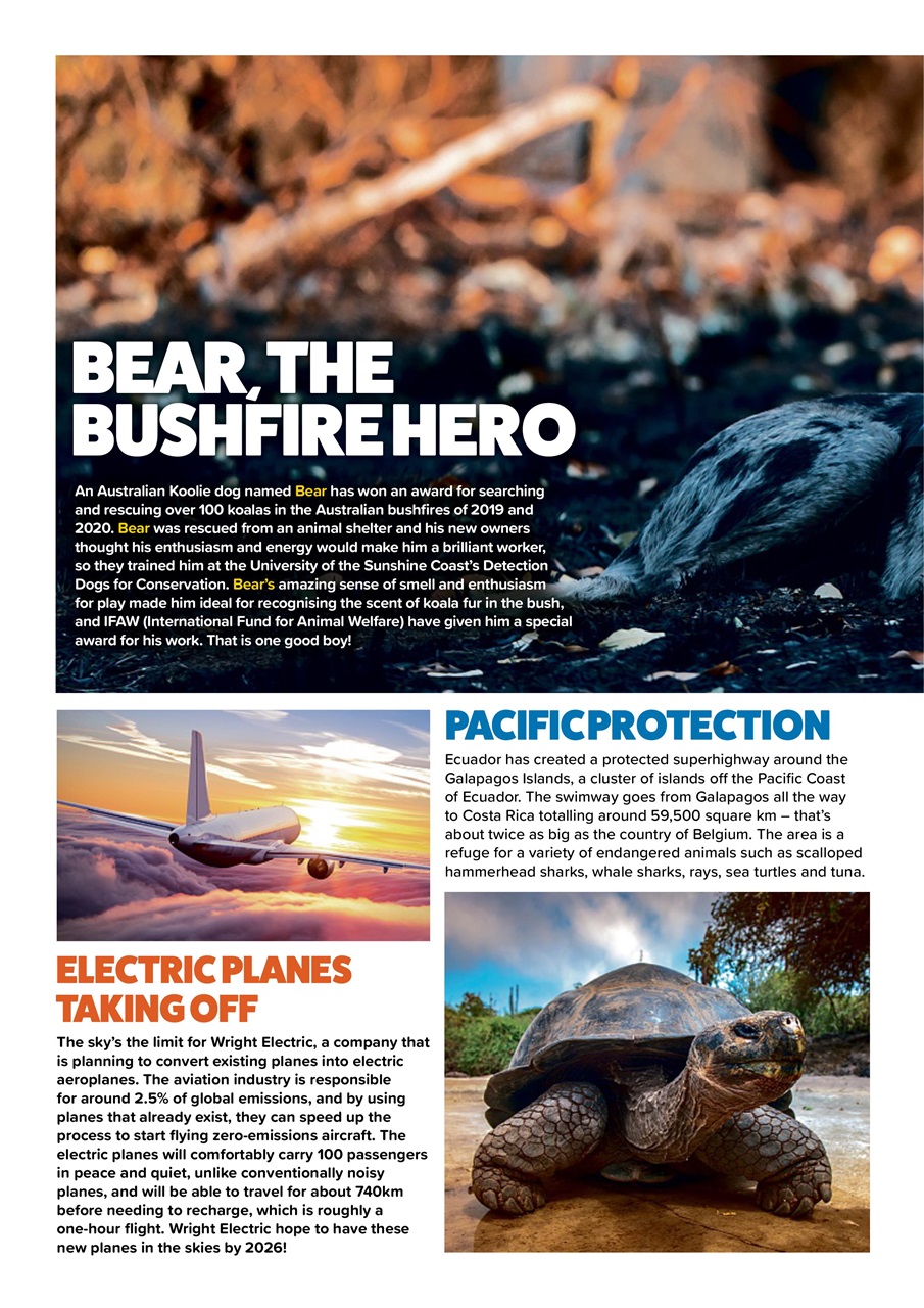 Animal Planet Kids Preview Pages