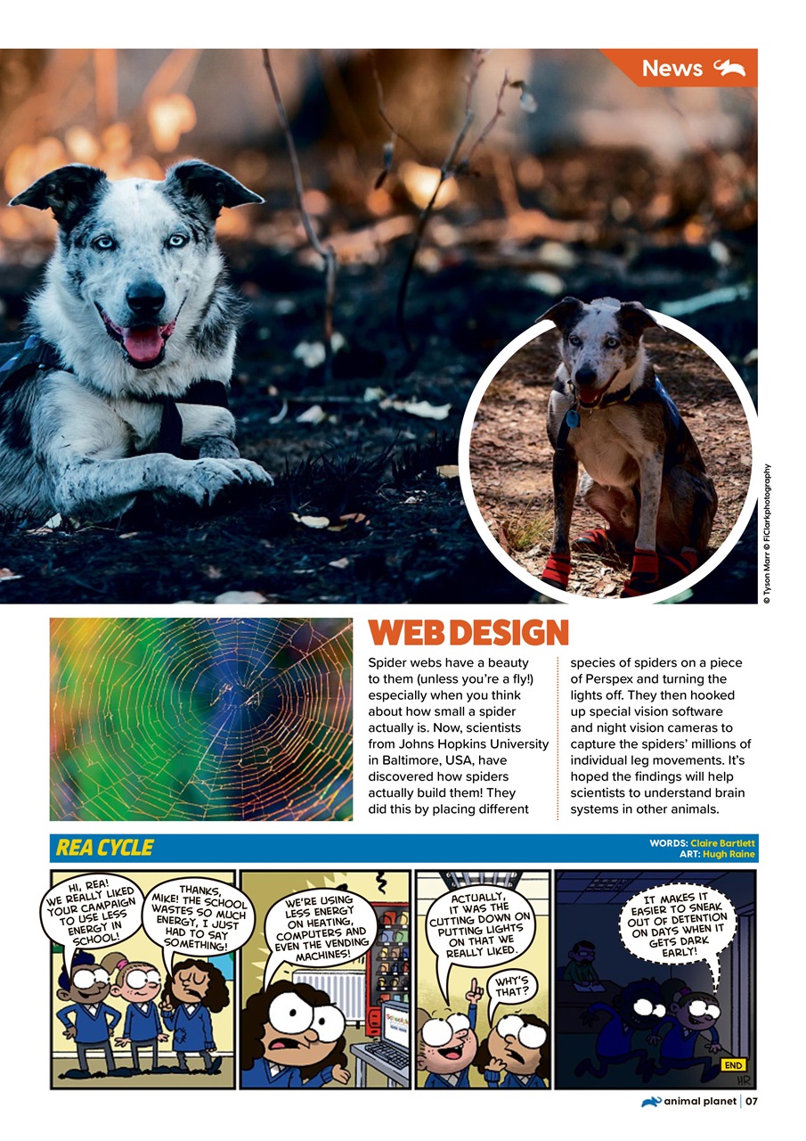 Animal Planet Kids Preview Pages