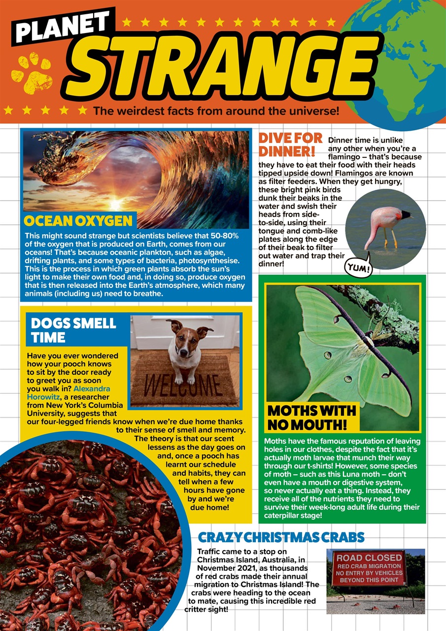 Animal Planet Kids Preview Pages