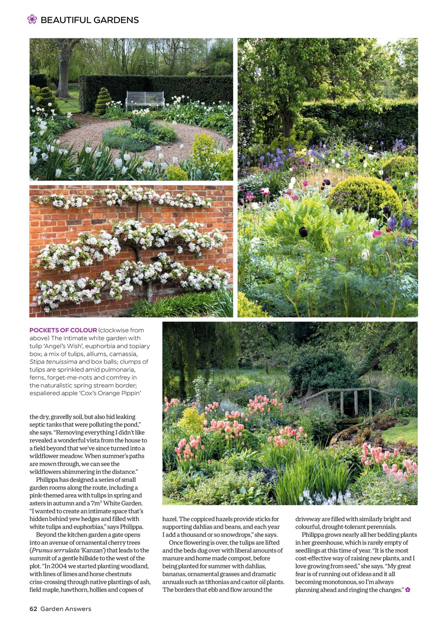 Garden Answers Preview Pages