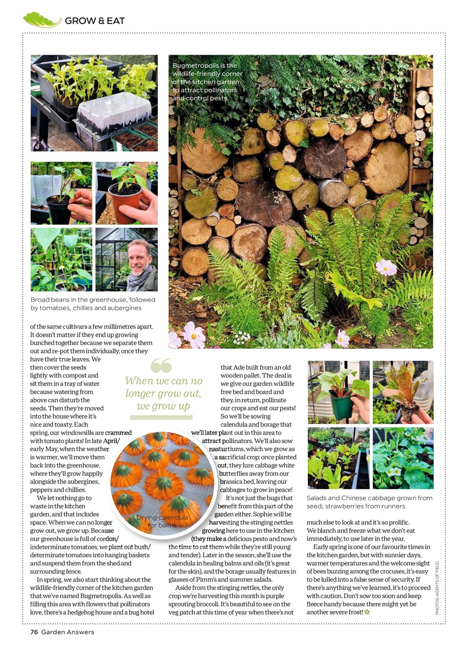 Garden Answers Preview Pages