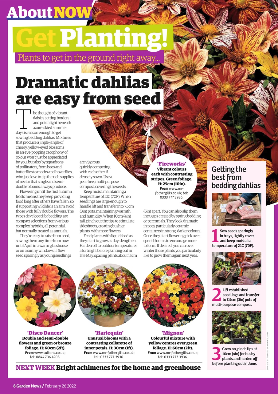 Garden News Preview Pages
