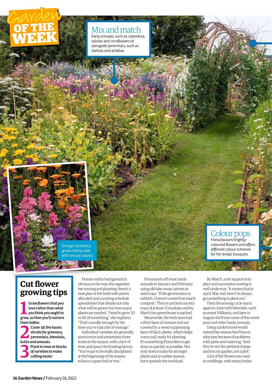 Garden News Preview Pages