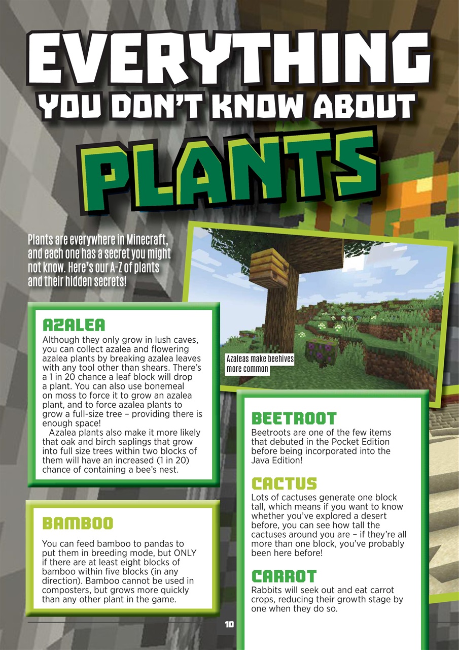 Minecraft World Preview Pages