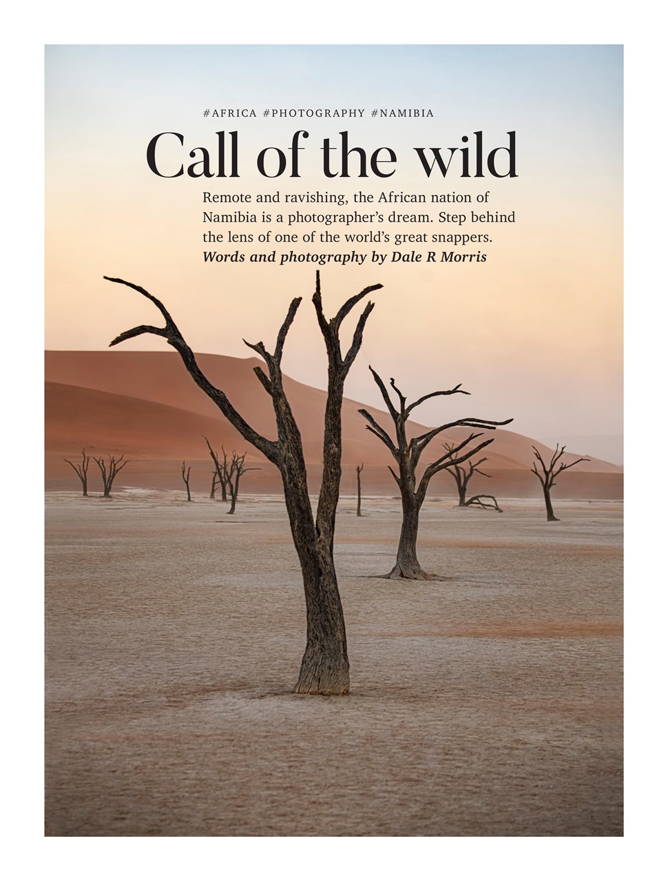 Vacations & Travel Preview Pages