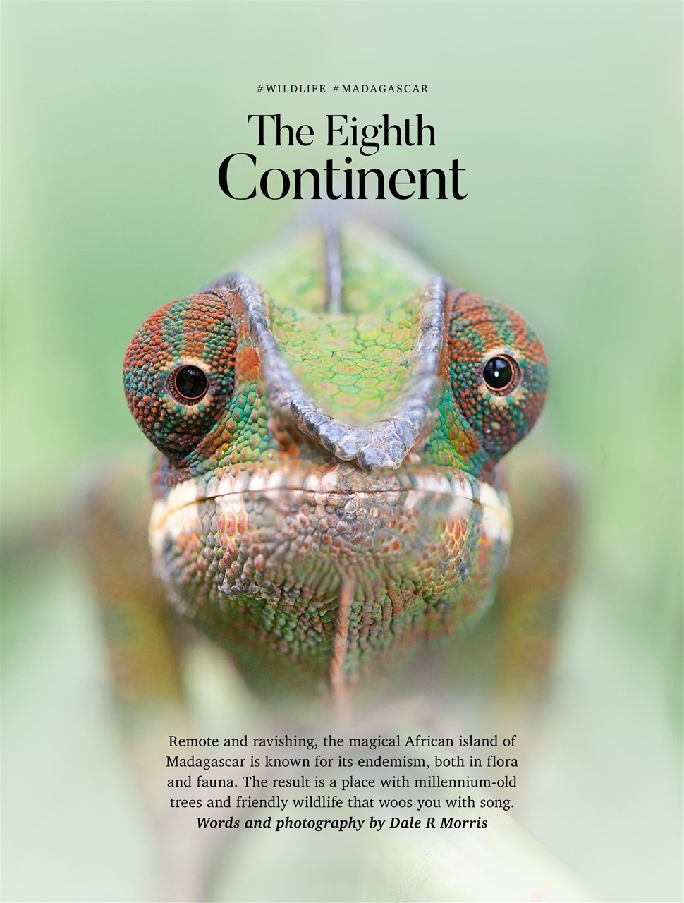 Vacations & Travel Preview Pages