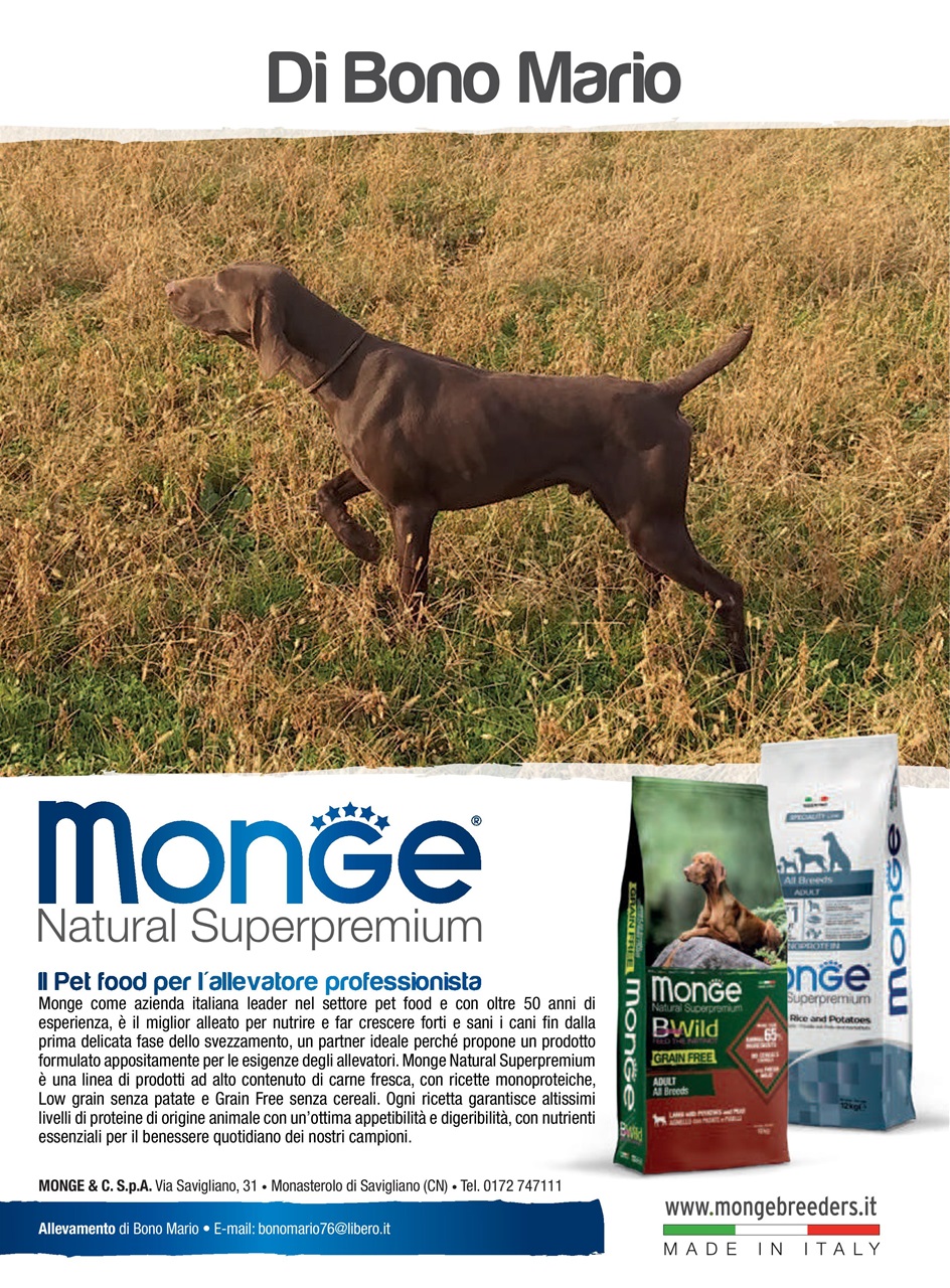 La Gazzetta Della Cinofilia Venatoria Preview Pages