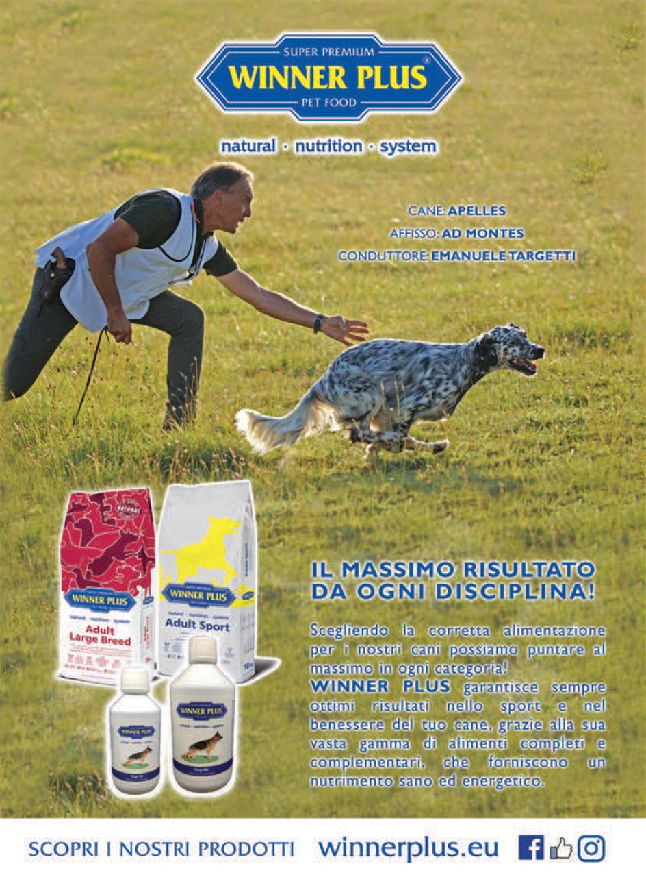 La Gazzetta Della Cinofilia Venatoria Preview Pages