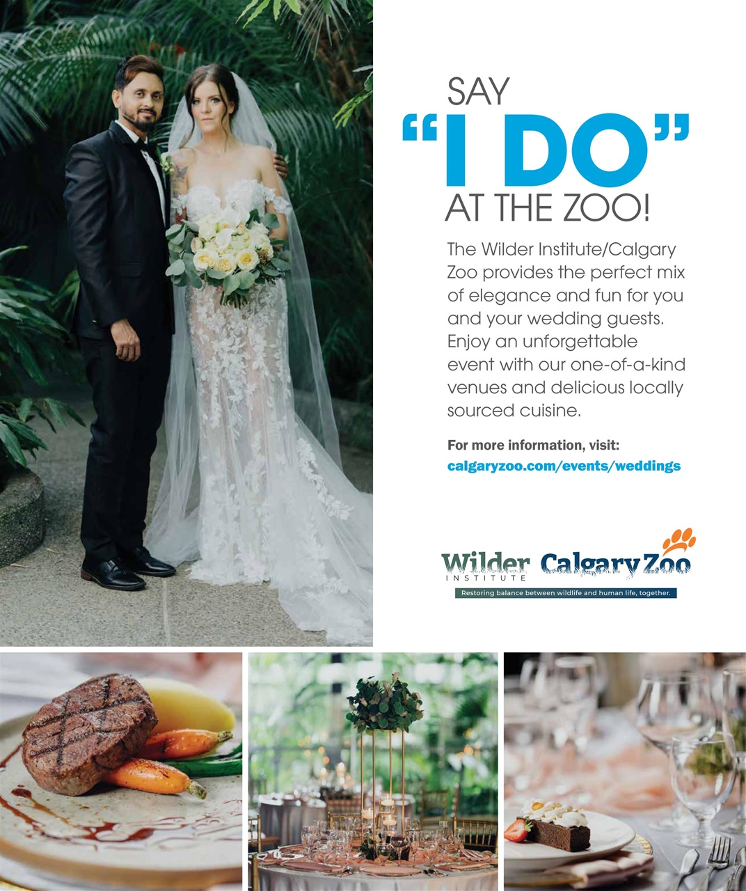 Avenue Calgary Preview Pages