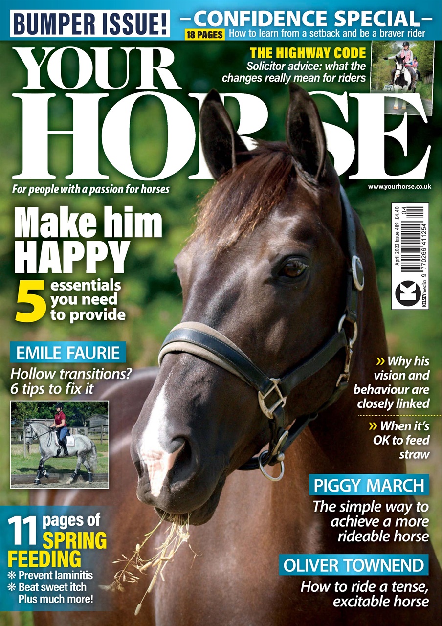 Your Horse Preview Pages