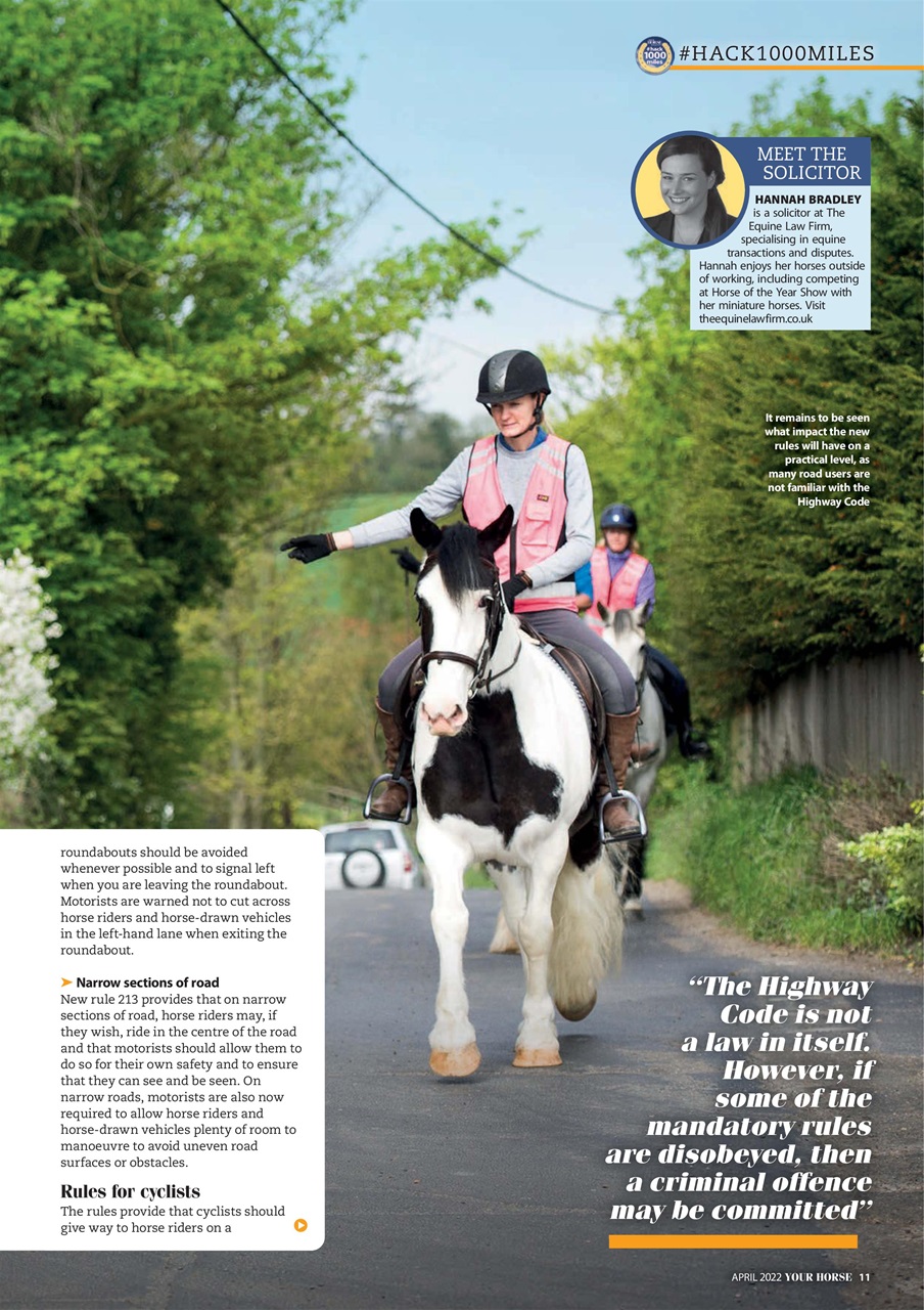 Your Horse Preview Pages