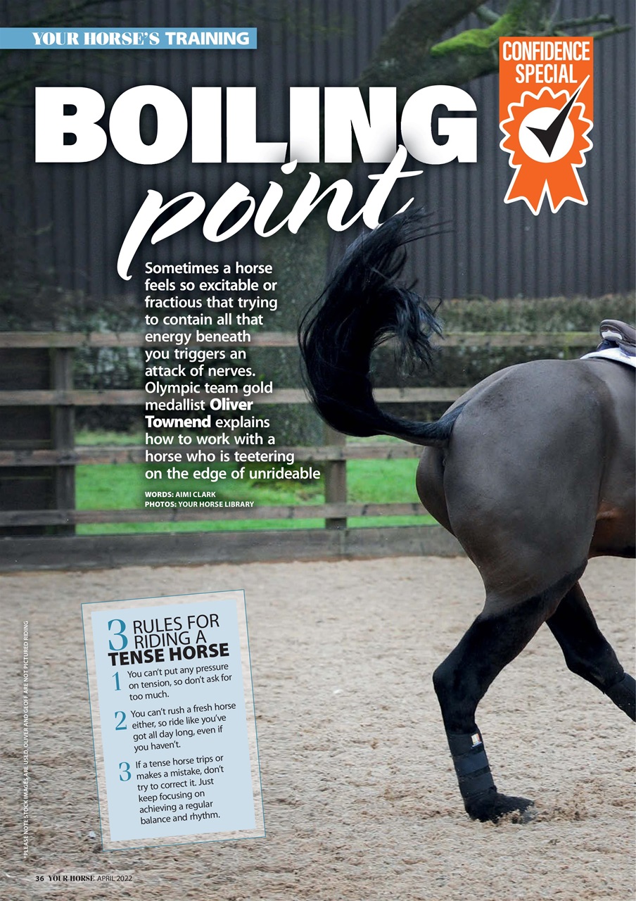 Your Horse Preview Pages