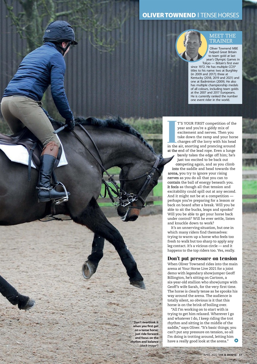 Your Horse Preview Pages