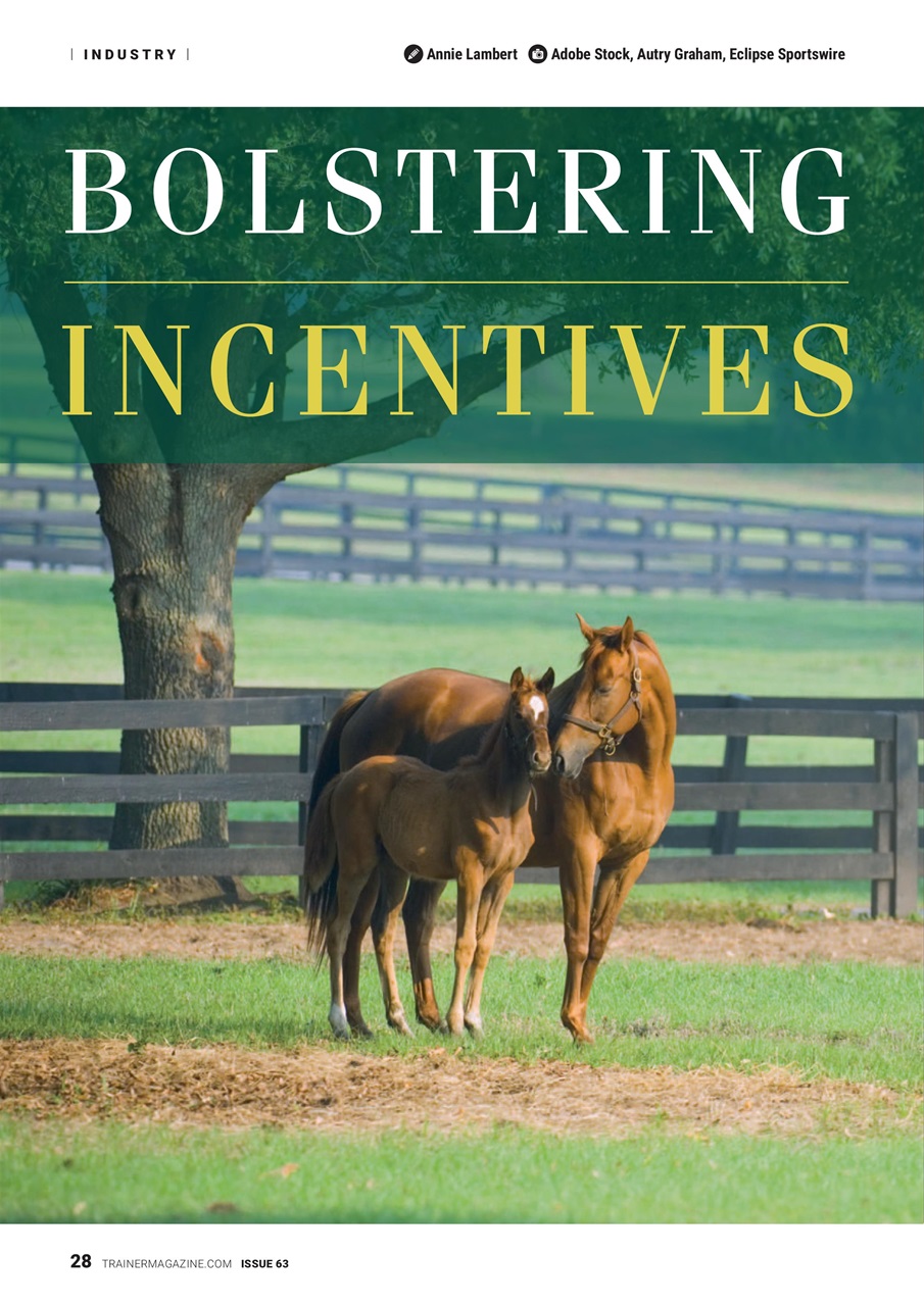 North American Trainer Magazine - horse racing Preview Pages