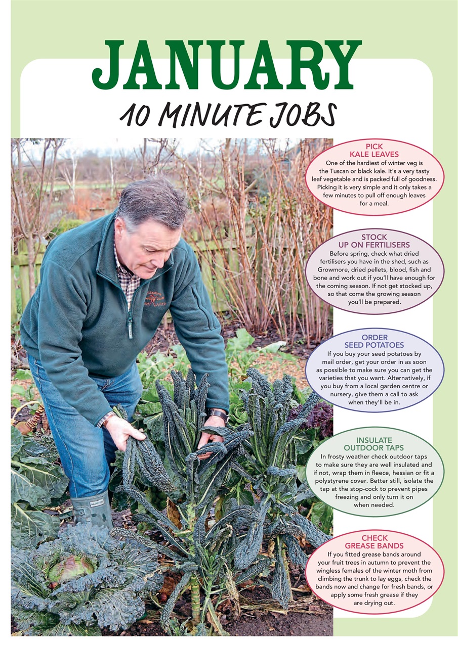 Kitchen Garden Magazine Preview Pages