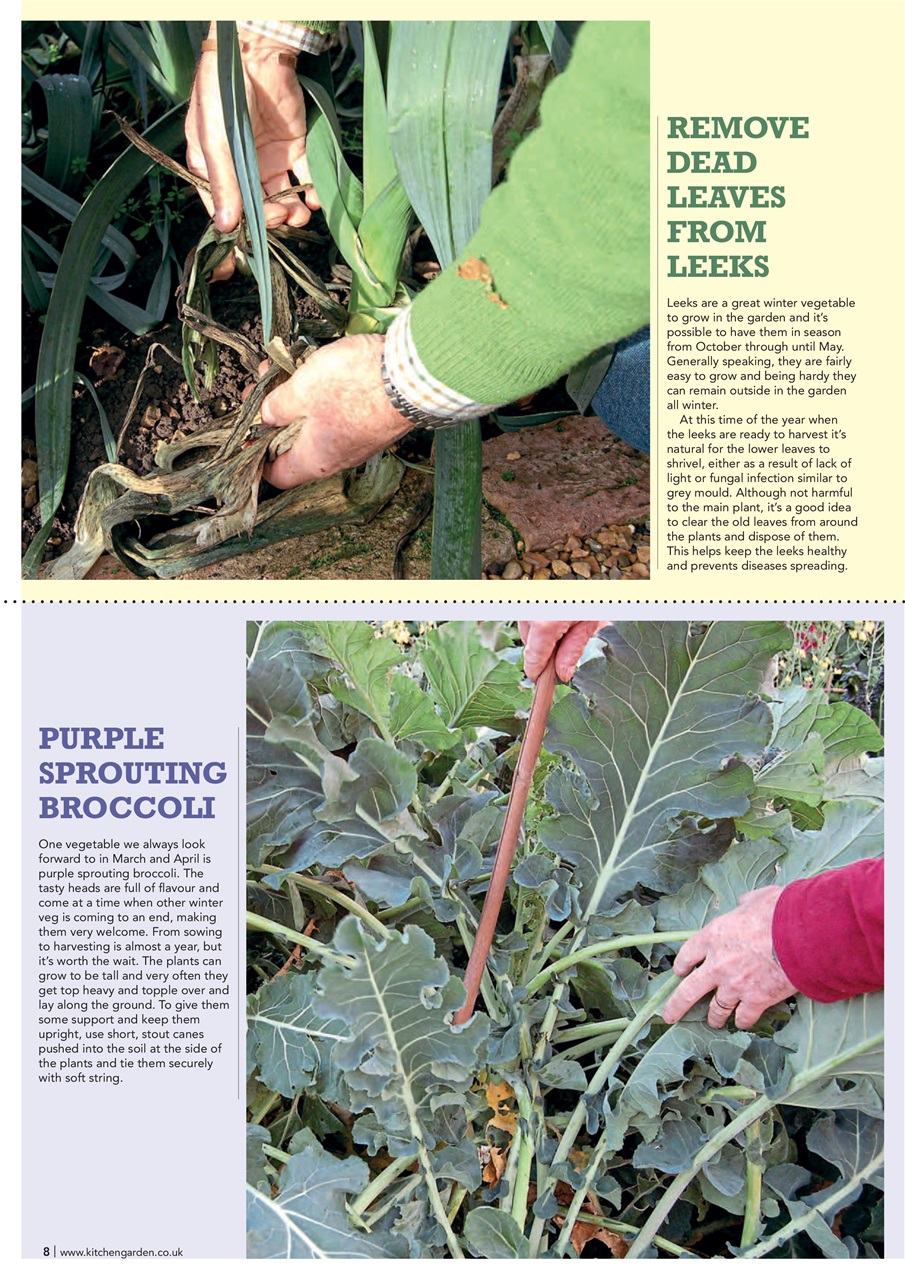 Kitchen Garden Magazine Preview Pages