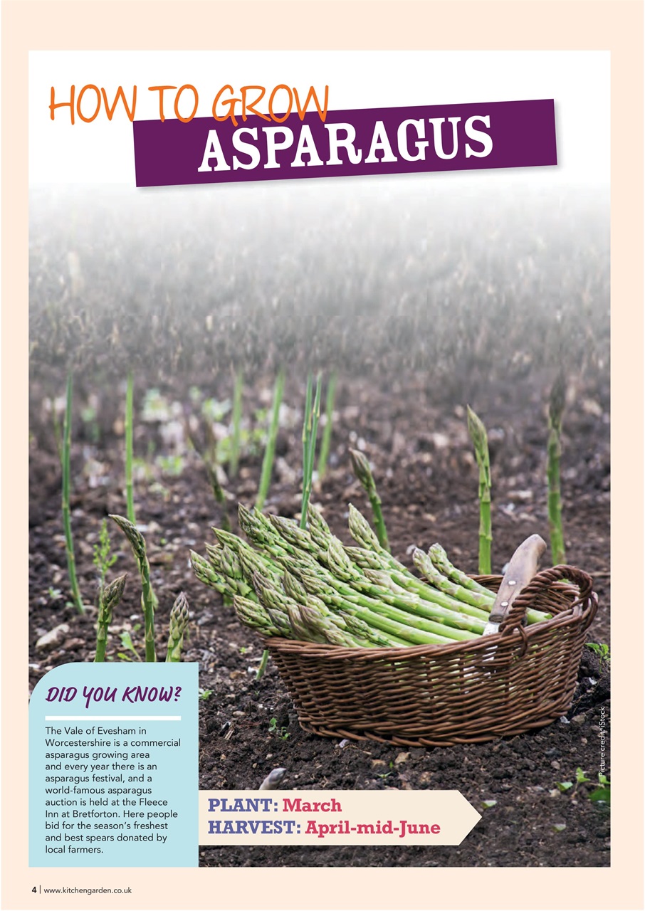 Kitchen Garden Magazine Preview Pages