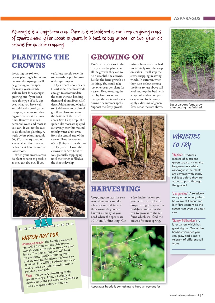 Kitchen Garden Magazine Preview Pages