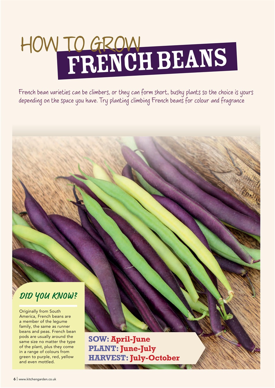 Kitchen Garden Magazine Preview Pages