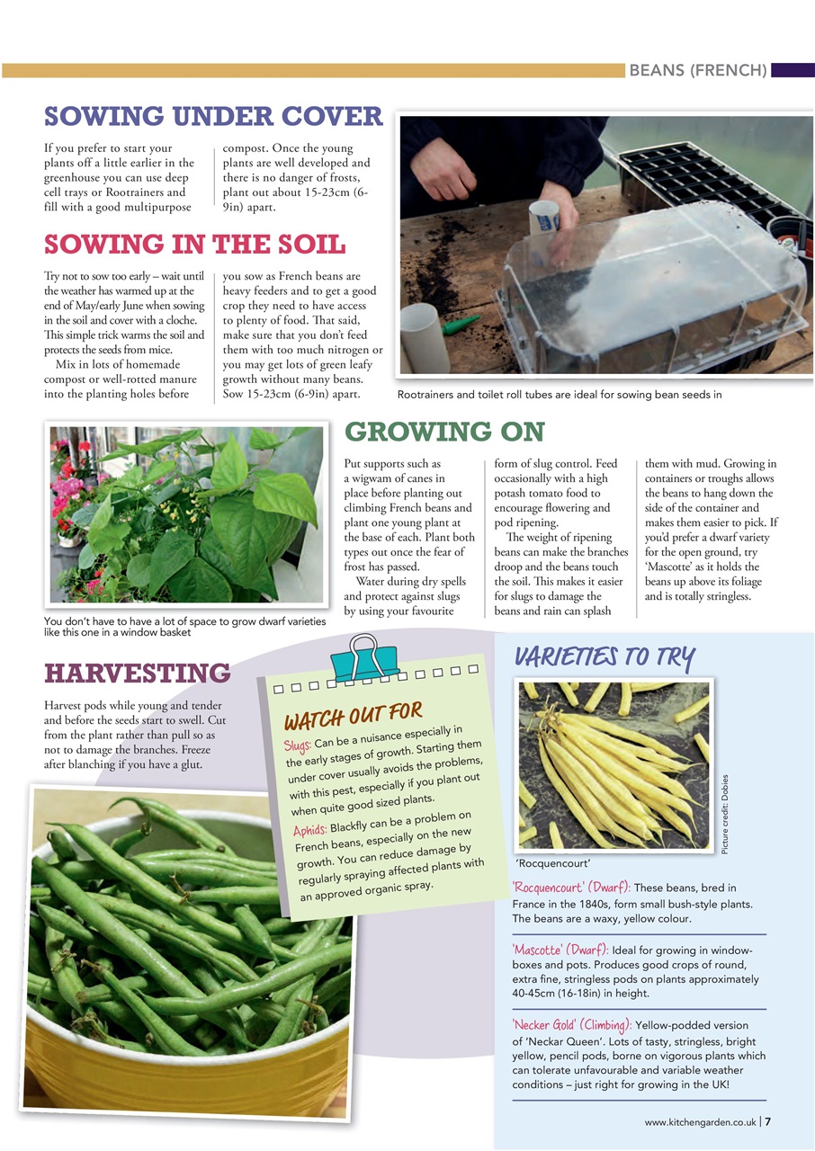 Kitchen Garden Magazine Preview Pages