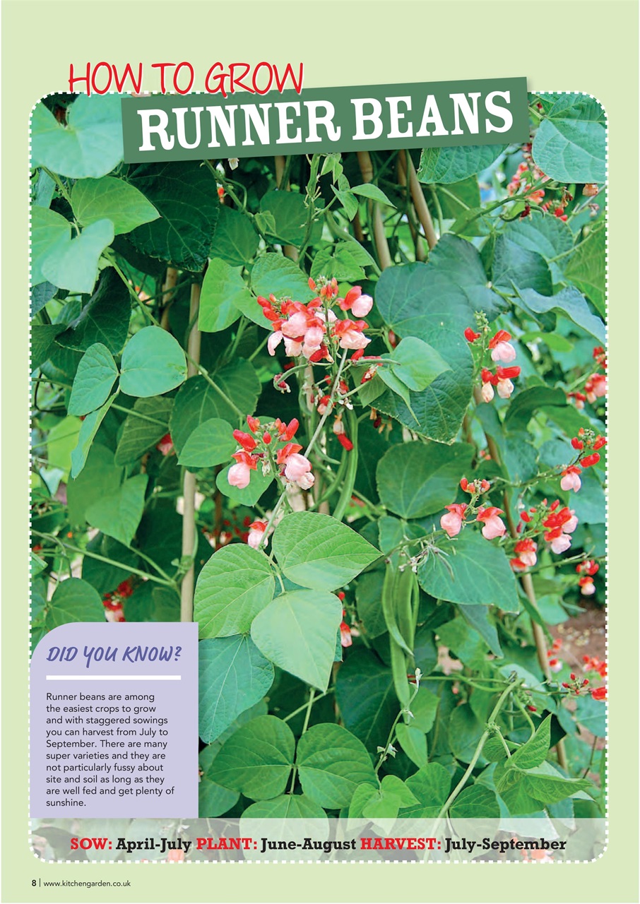 Kitchen Garden Magazine Preview Pages