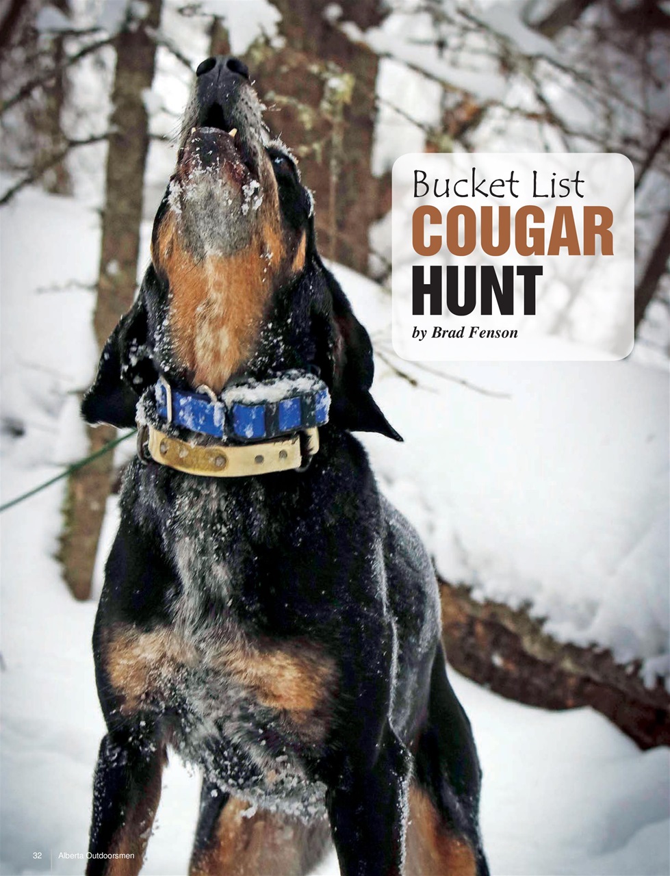 Alberta Outdoors Preview Pages