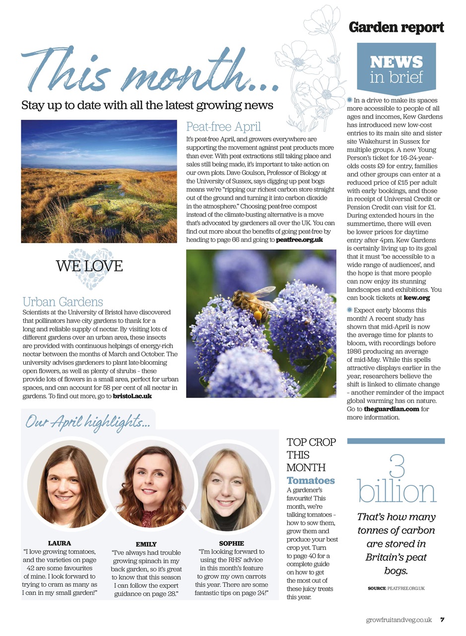 Grow Your Own Preview Pages