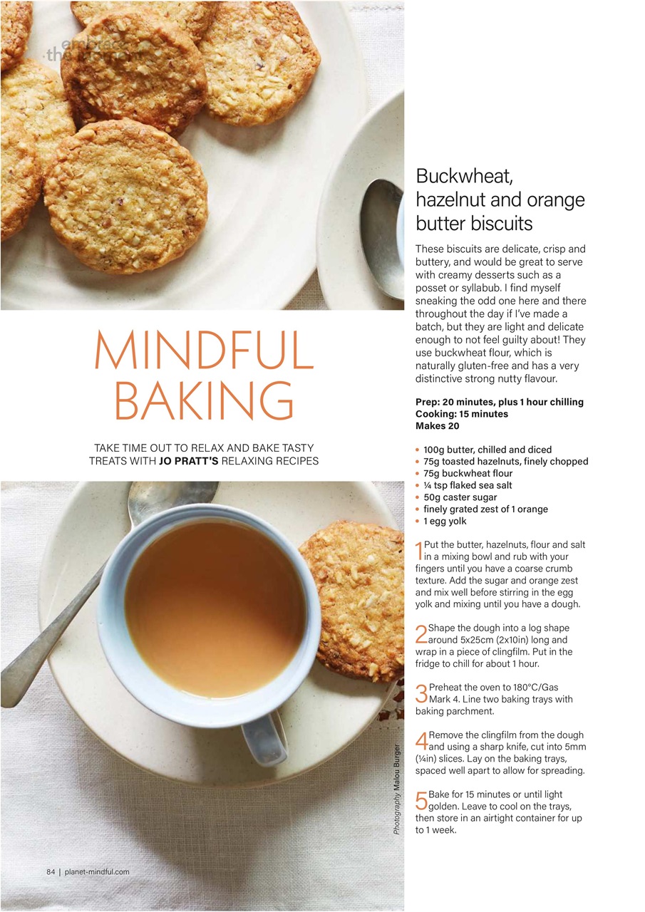 Planet Mindful Preview Pages