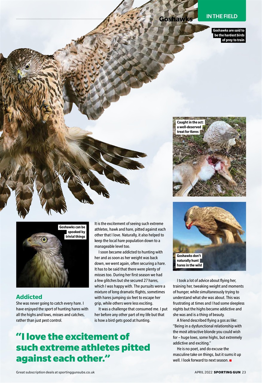 Sporting Gun Preview Pages