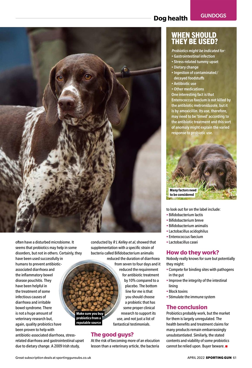 Sporting Gun Preview Pages