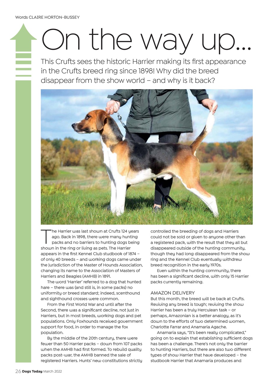 Dogs Today Magazine Preview Pages