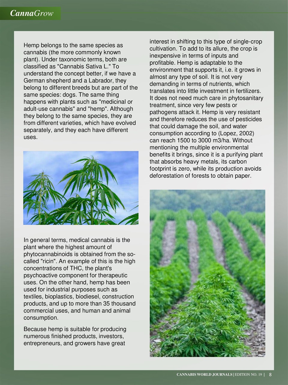 Cannabis World Journals Preview Pages