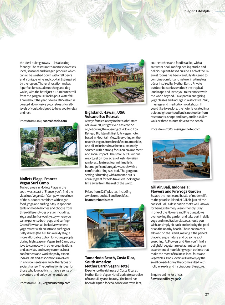 Vegan Life Preview Pages